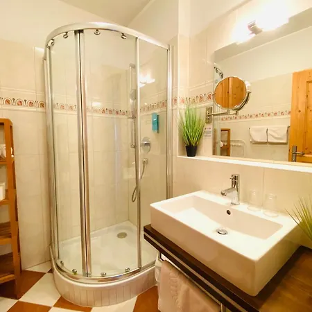 أبارت-بنسيون فيسينأورهوف 4*